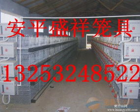 甘南藏族自治州盛祥肉鸡笼,三层肉鸡笼,四层肉鸡笼